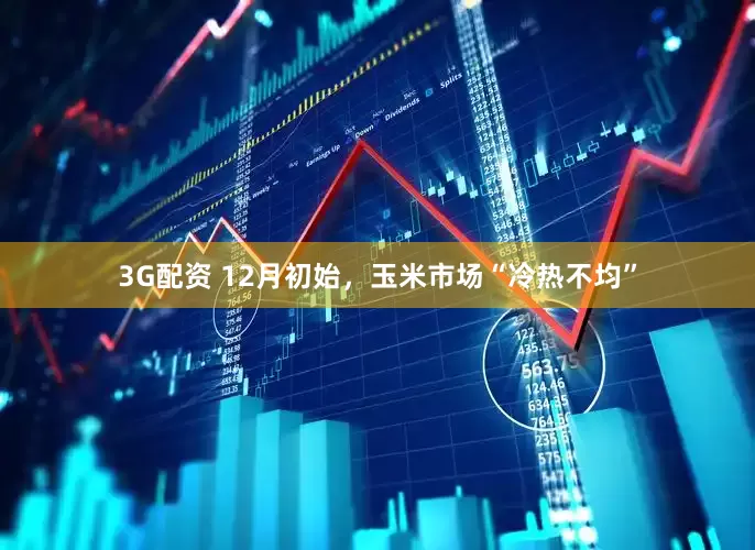 3G配资 12月初始，玉米市场“冷热不均”